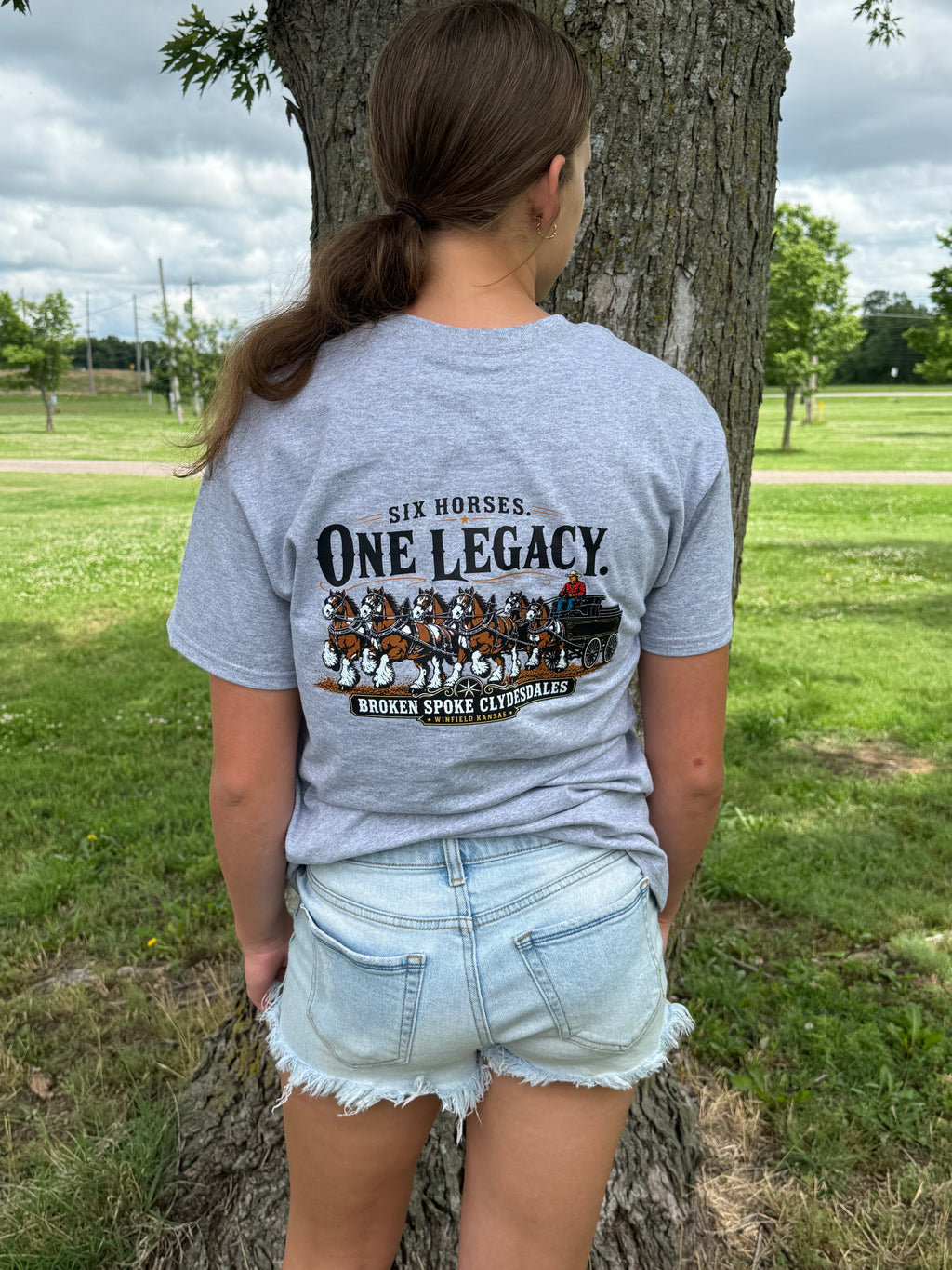 Six Horse Legacy Shirt