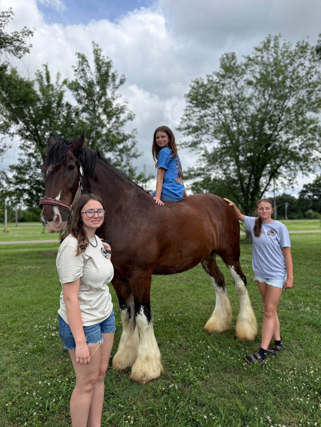 Six Horse Legacy Shirt